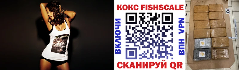 COCAIN FishScale  Купить  Шарья 