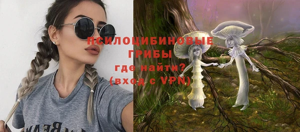 дмт Заволжск