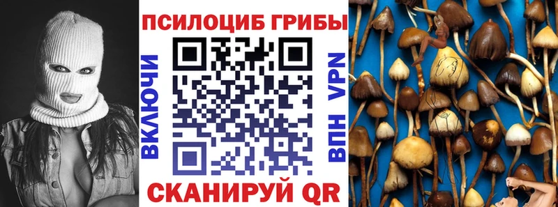 Галлюциногенные грибы мицелий  Купить закладки  Шарья 
